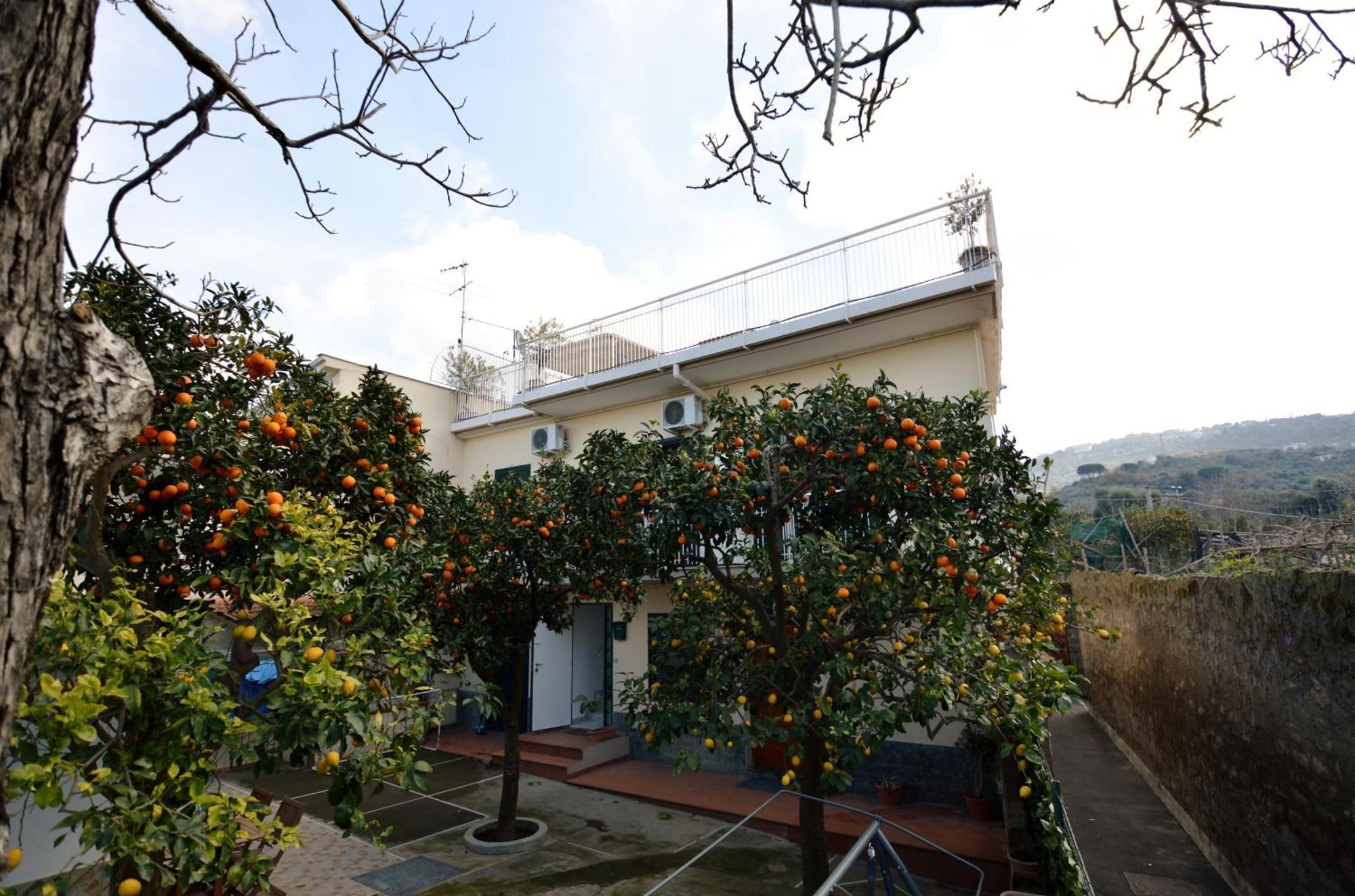 La Terrazza Family Holidays - Sorrento Coast * Sant'Agnello