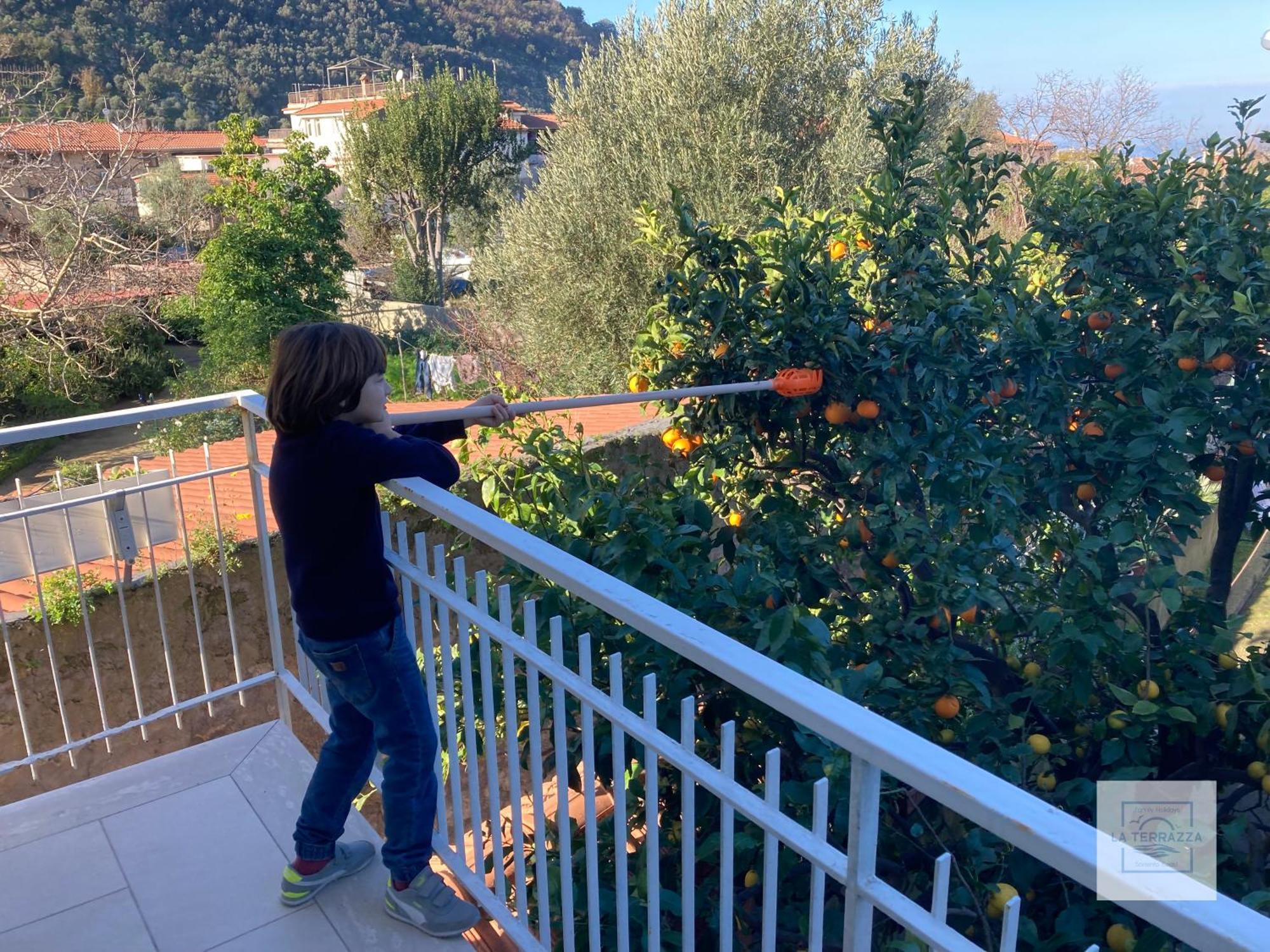 La Terrazza Family Holidays - Sorrento Coast Holiday home